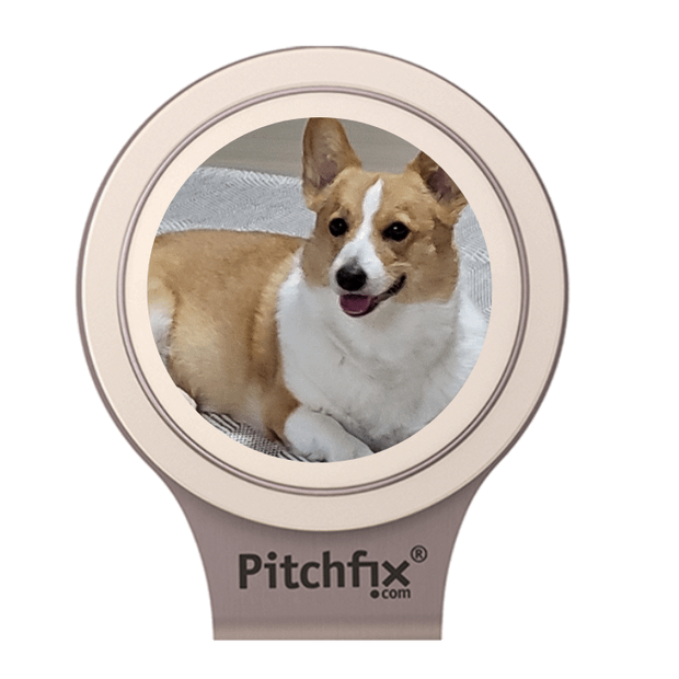 White Pitchfix Hatclip