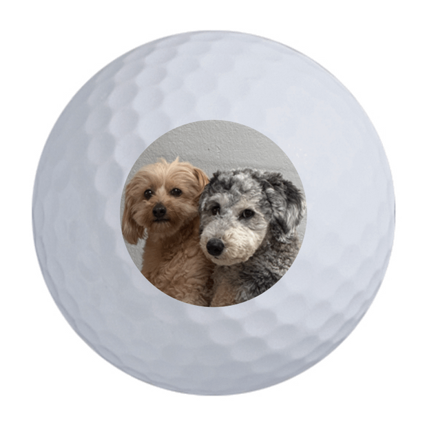Custom Callaway Warbird Golf Balls One Dozen