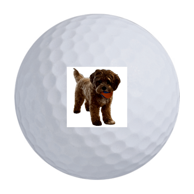 TaylorMade Distance + Golf Balls