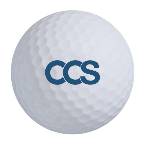 Titleist Velocity Golf Balls