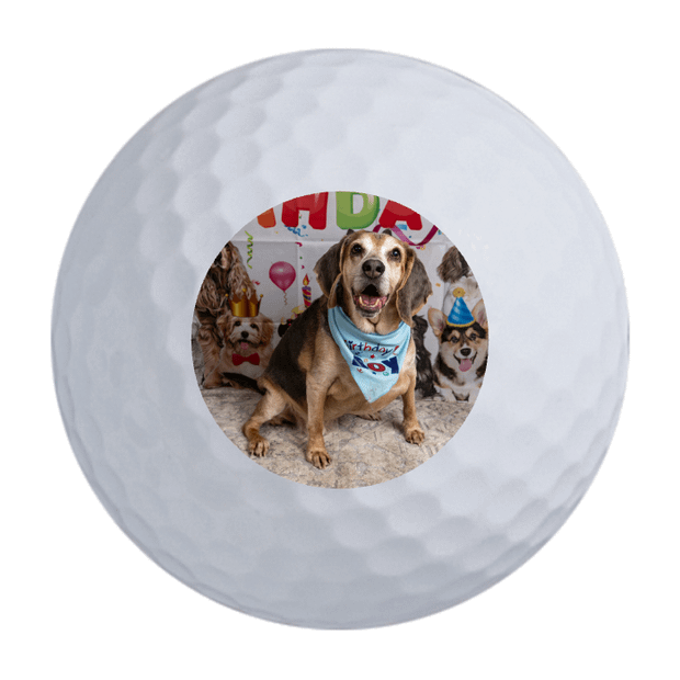 TaylorMade TP5x Golf Balls