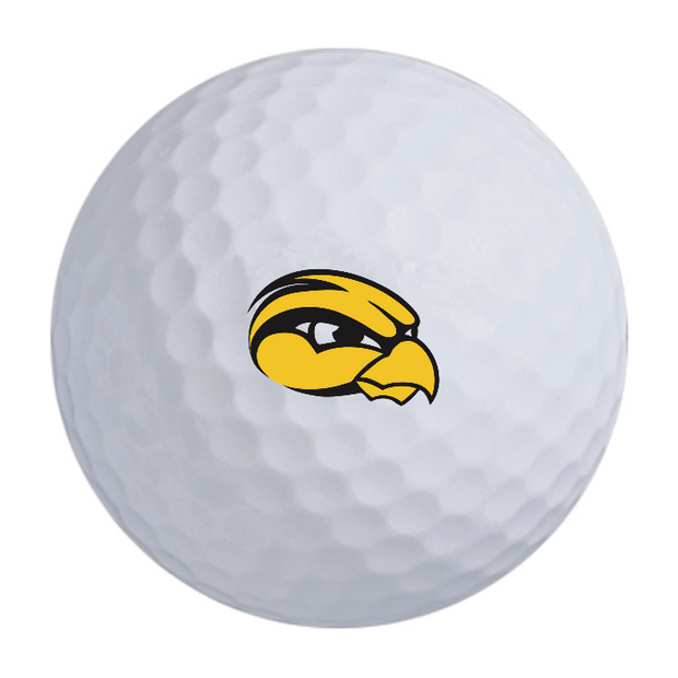 TaylorMade Distance + Golf Balls