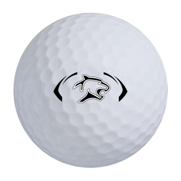 Bridgestone e6 Golf Balls