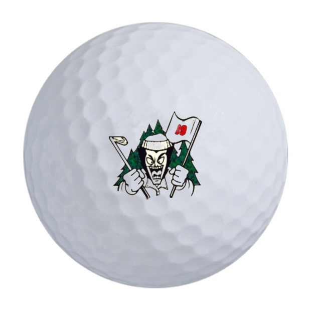 TaylorMade Tour Preferred TP5 (Prior Gen) - 2 Dozen