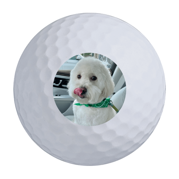 Titleist Pro V1 Golf Balls