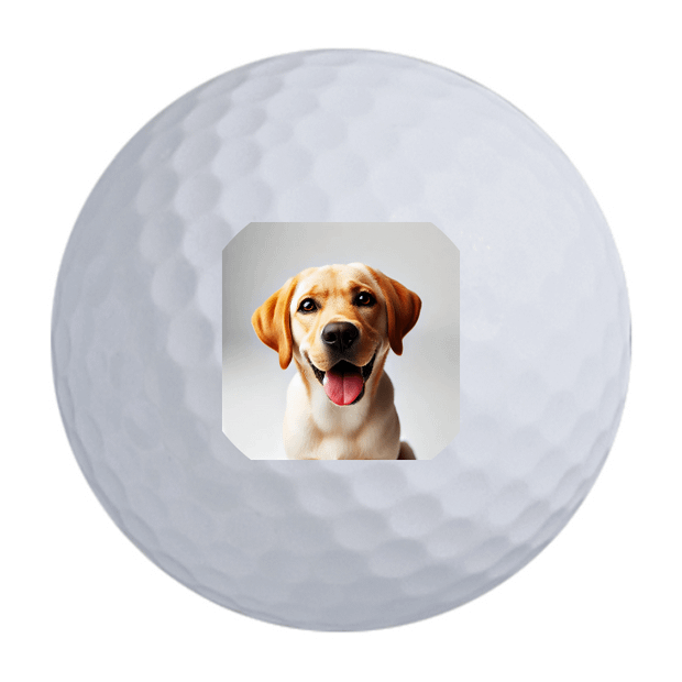 TaylorMade Distance + Golf Balls - 2 FOR $35