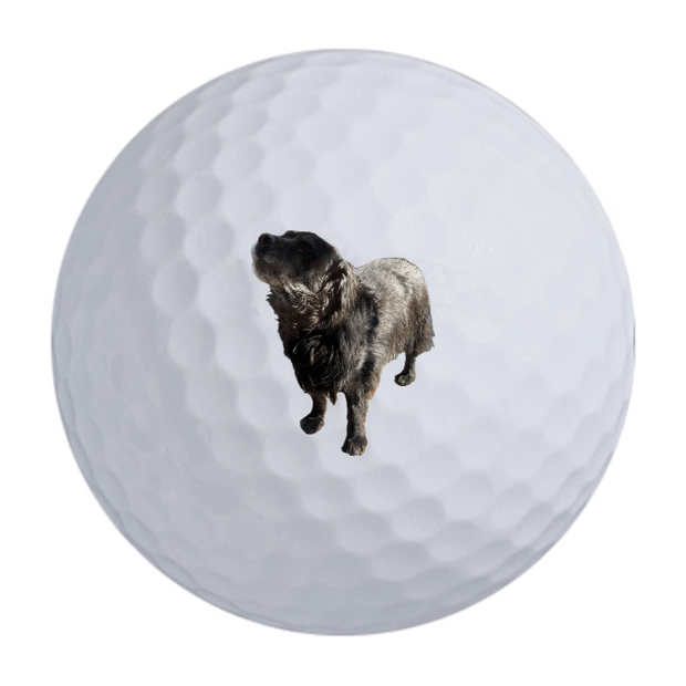 TaylorMade Distance + Golf Balls