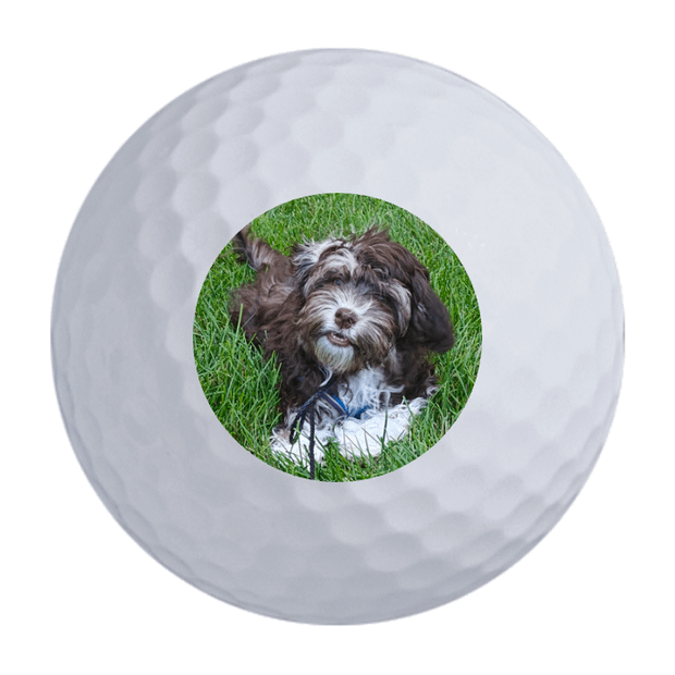 Callaway Warbird Golf Balls