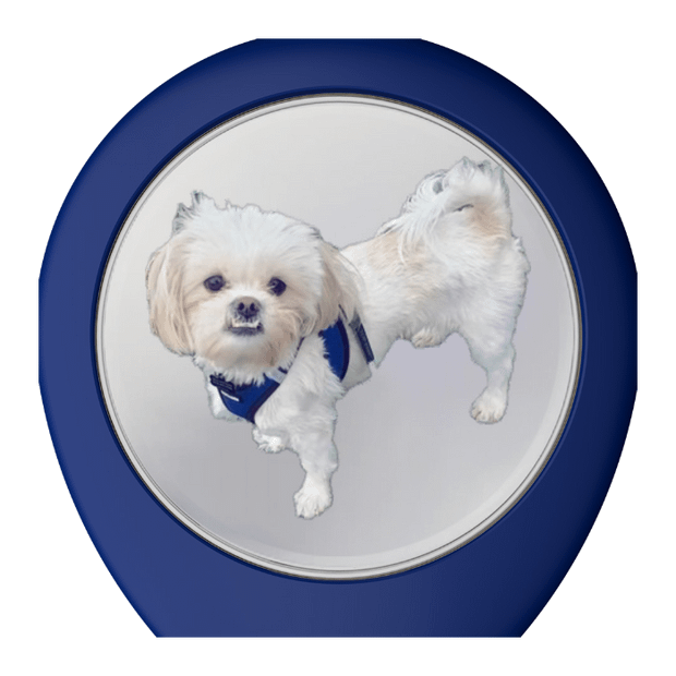 Pitchfix Hat Clip with Removable Ball Marker (Blue)