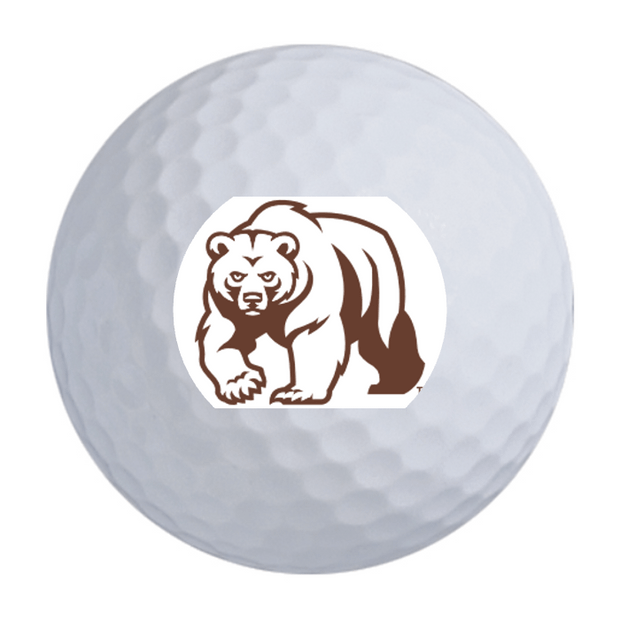 TaylorMade Distance + Golf Balls