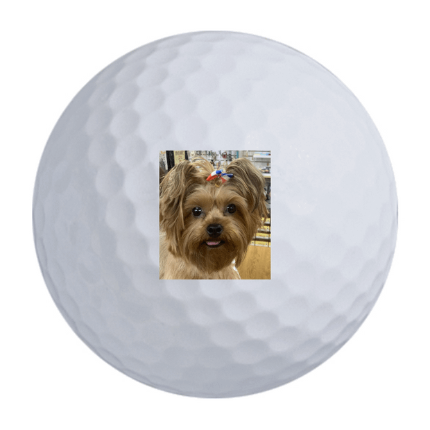 Srixon Q-Star Golf Balls