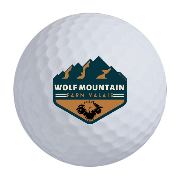 Bridgestone e9 Long Drive Golf Balls