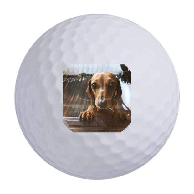 Titleist TruFeel Golf Ball One Dozen