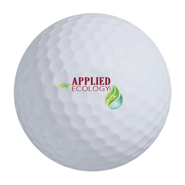 Callaway Warbird Golf Balls - 2 For $35