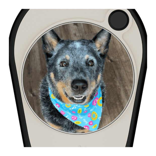 Pitchfix Ultima Divot Tool with Custom Ball Marker (Carbon)