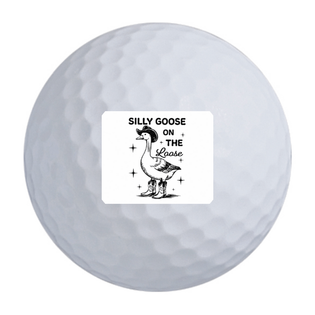 Noodle Long and Soft Golf Balls - 24 Ball Pack