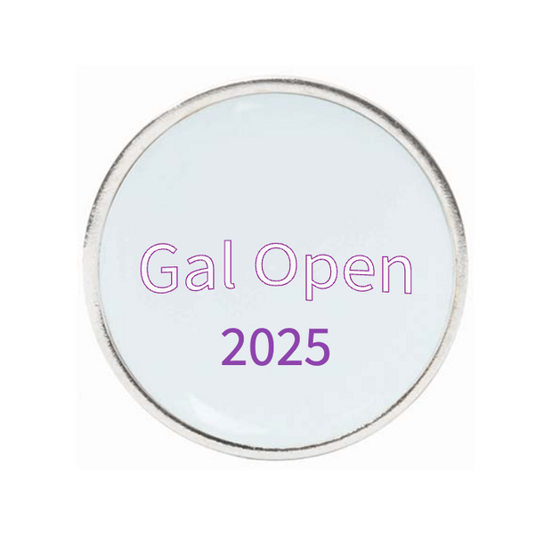 10 Pack Silver Ball Markers