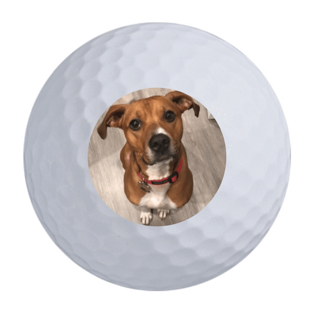 TaylorMade Distance + Golf Balls