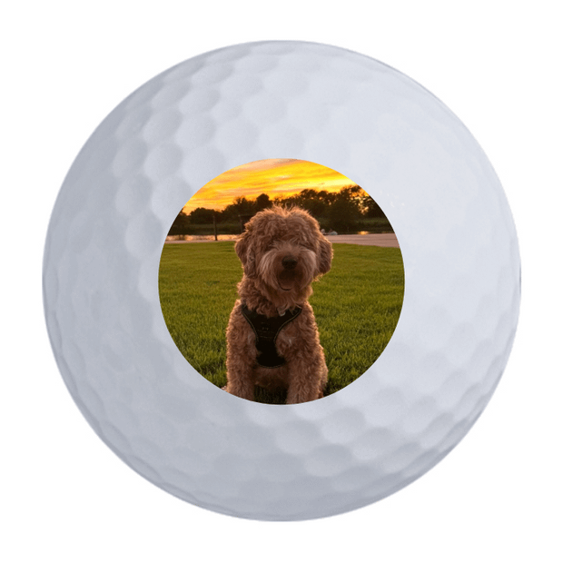 Nitro Maximum Distance Golf Balls