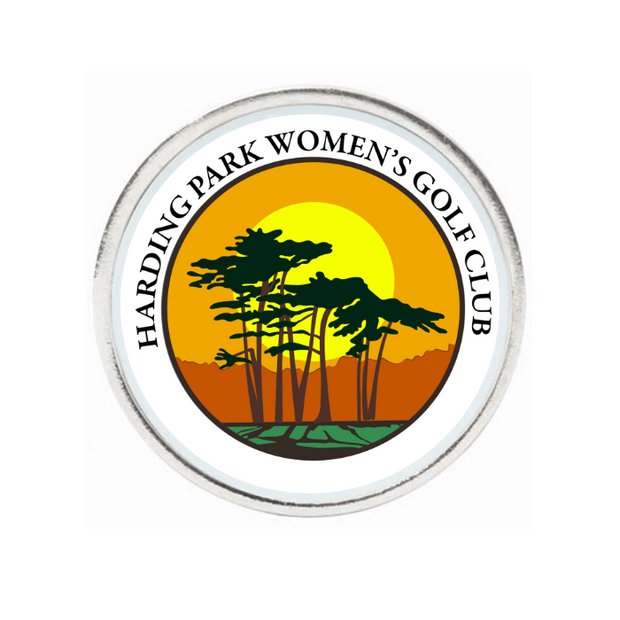 10 Pack Silver Ball Markers