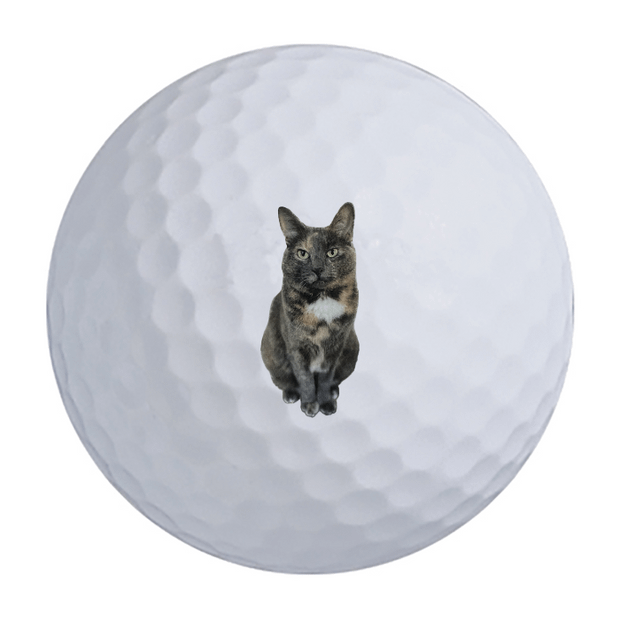 Vice Pro Air Golf Balls