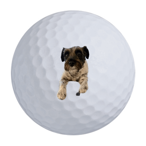 TaylorMade Distance + Golf Balls