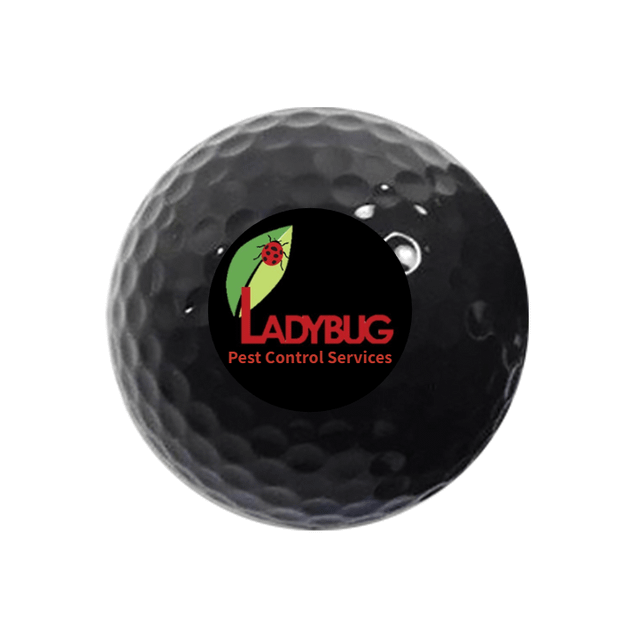 Value Golf Balls Black