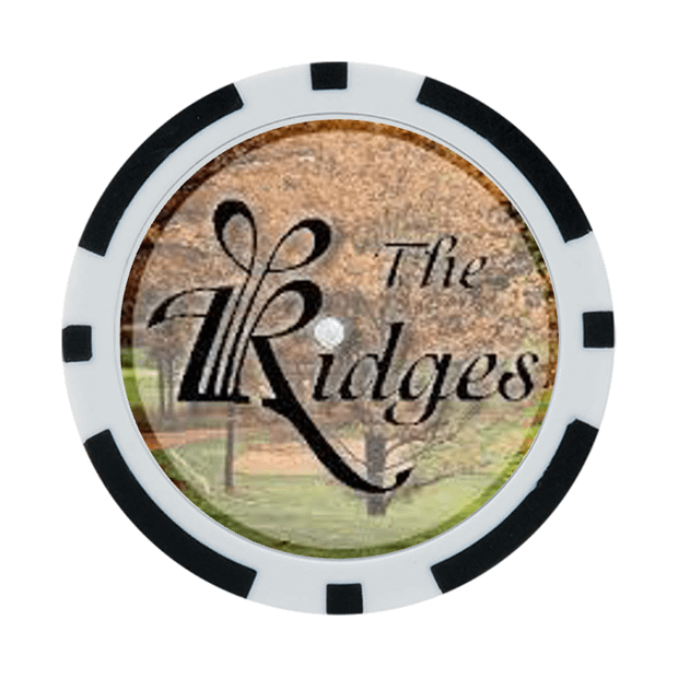 30 Poker Chips in Tube