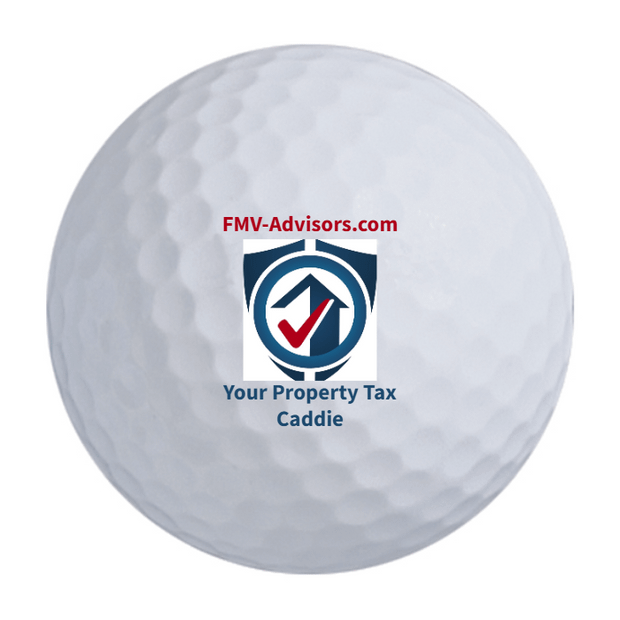 Bridgestone e6 Golf Balls