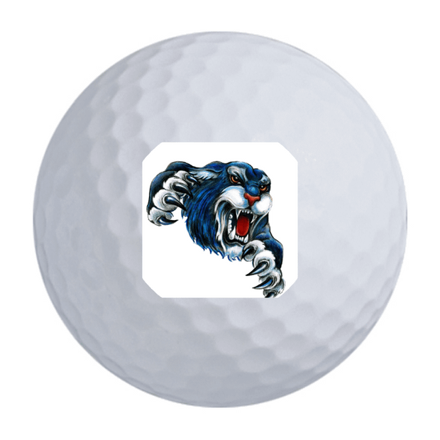 TaylorMade Distance + Golf Balls