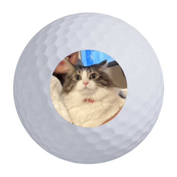 Titleist Pro V1 Golf Balls One Dozen